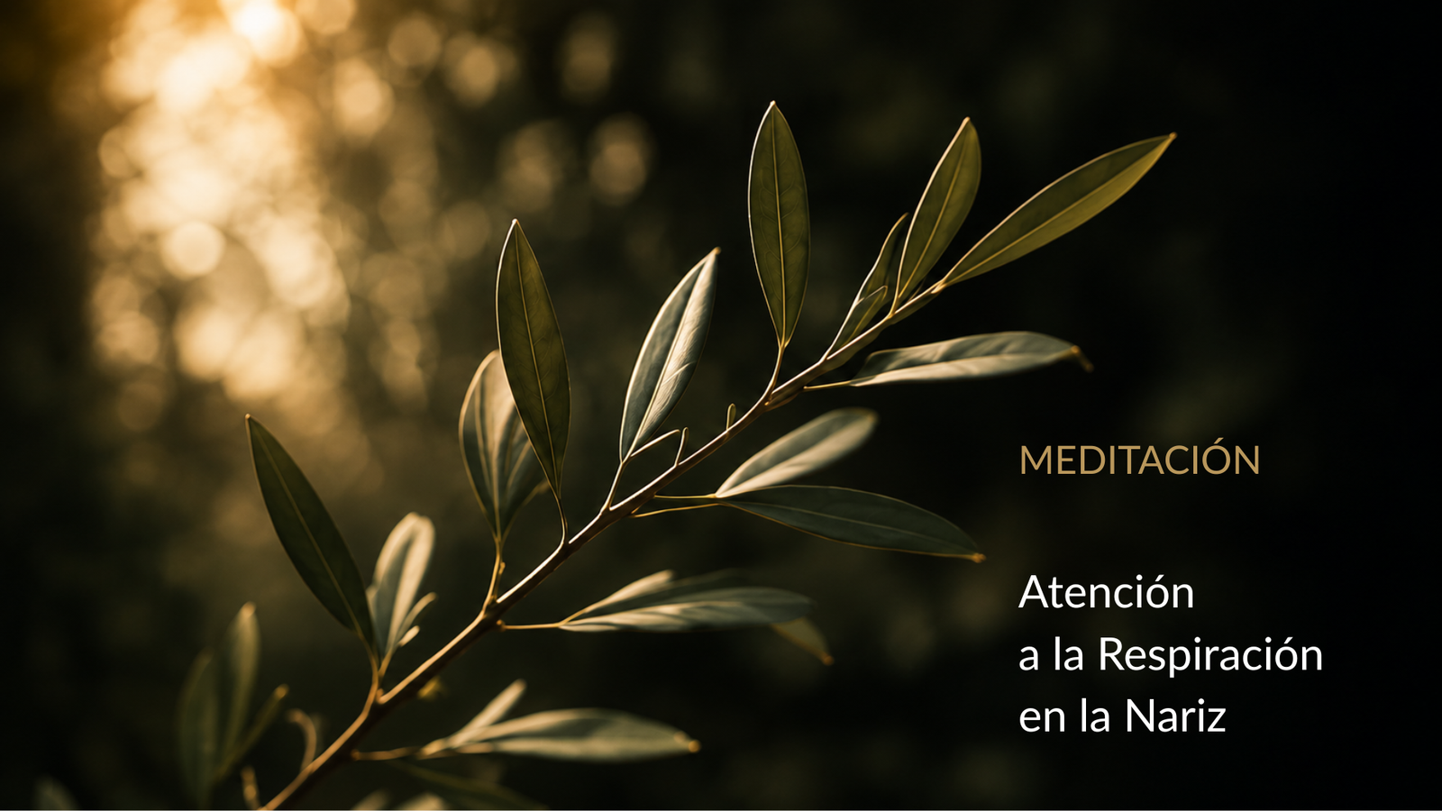 Atención a la respiración en la nariz