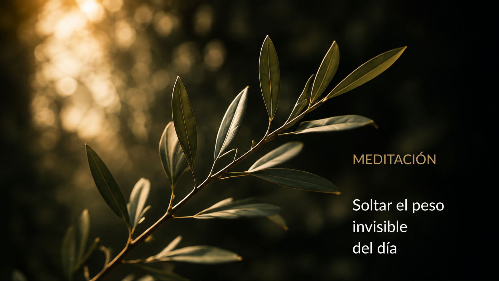 Soltar el peso invisible del día