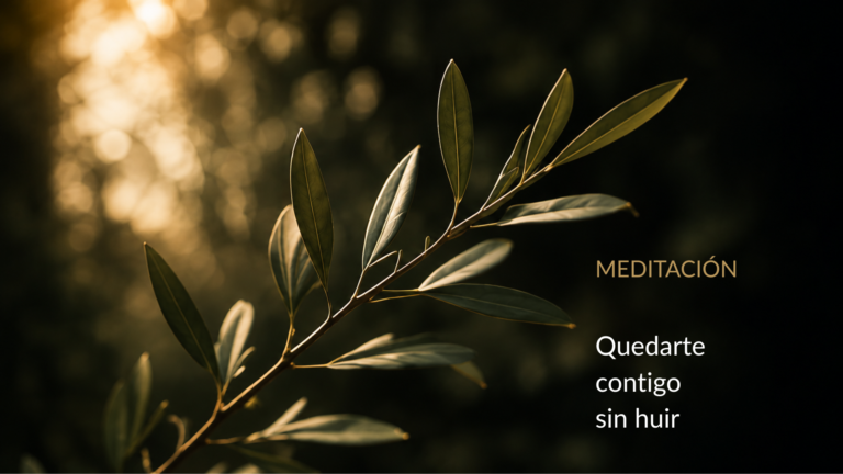 09 meditacion