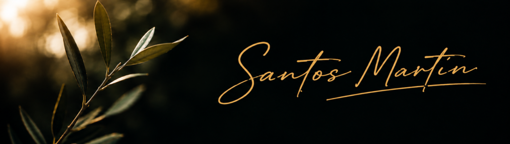 santos-martin-meditacion